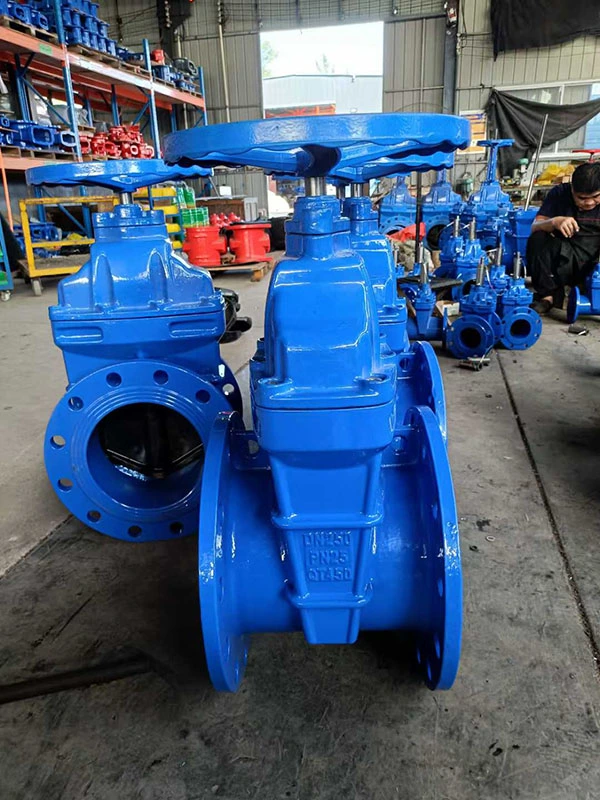 Nrs Gate Valve