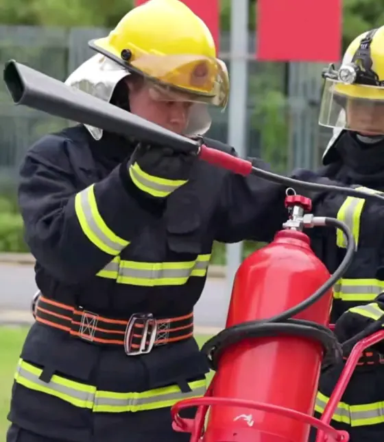 Co2 Trolley Fire Extinguisher
